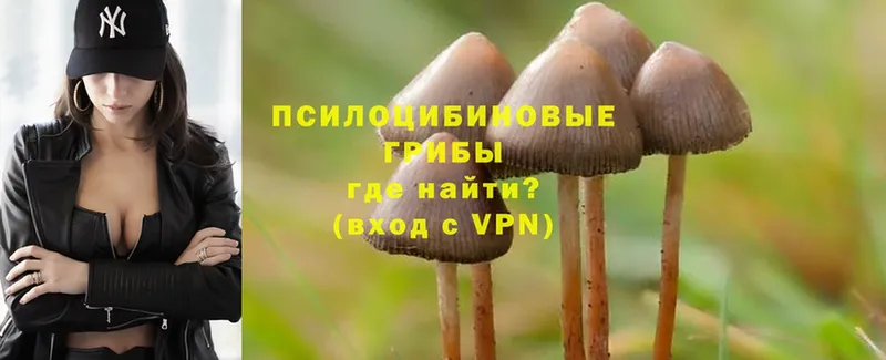 купить наркотик  Гуково  Псилоцибиновые грибы Magic Shrooms 